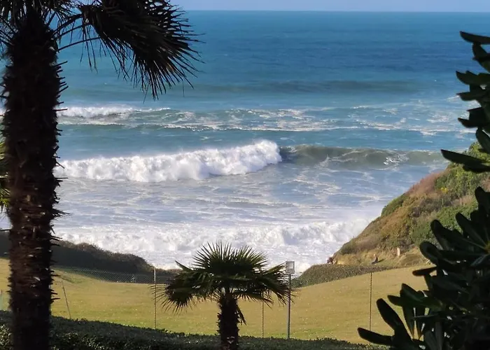 Perle Rare T3 Avec 2 Et Parking Gratuit Appartement *